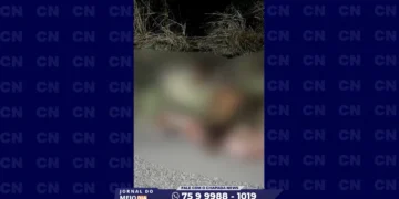 Lençóis: carro colide com cavalo na BR-242