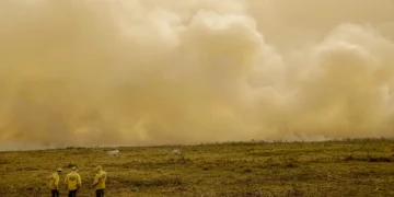 Calor mata meio milhão de pessoas por ano, alertam cientistas