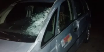 Motorista colide com animal na BA-046, entre Utinga e Ruy Barbosa