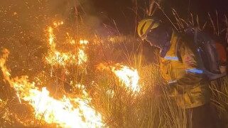 Incêndio florestal atinge região do Guiné, em Mucugê