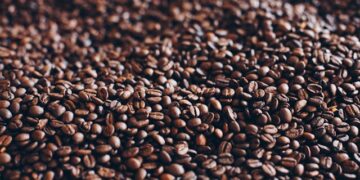 EUA anunciam redução de tarifas para produtos como café, laranja e carne bovina