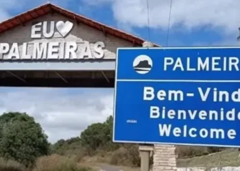 Palmeiras: votação relâmpago da Câmara gera alerta sobre possíveis retrocessos ambientais