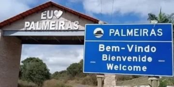 Palmeiras: votação relâmpago da Câmara gera alerta sobre possíveis retrocessos ambientais