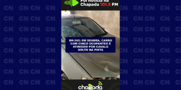 BR-242: Em Seabra, carro com cinco ocupantes é atingido por cavalo solto na pista