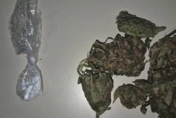 Homem é preso por homicídio e drogas são apreendidas em Seabra