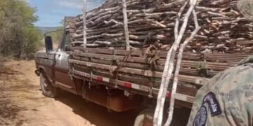 CIPPA flagra extração e transporte ilegal de madeira nativa em Seabra