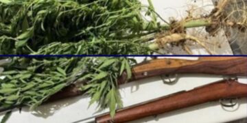Polícia apreende drogas, pés de maconha e armas artesanais em Wagner
