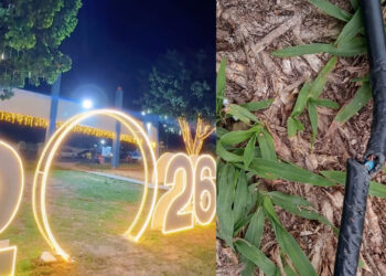 Seabra: Após ato de vandalismo, ornamentação na Praça da Bandeira é danificada; prefeitura emite nota