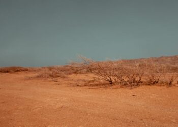 Governo Federal reconhece situação de emergência por estiagem em Boninal e Itaberaba