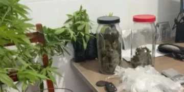 Ação conjunta apreende drogas e materiais do tráfico em Barra da Estiva