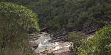 MPF emite nota sobre Cadastro Florestal de comunidade tradicional em Iraquara