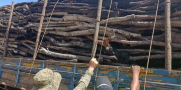 Cippa Lençóis apreende caminhão com madeira nativa e motosserra na BA-152