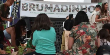 Buscas por vítimas da tragédia de Brumadinho são encerradas após sete anos