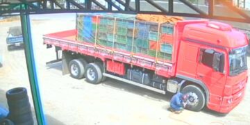 Ferramentas furtadas são recuperadas e suspeito encaminhado à polícia em Seabra