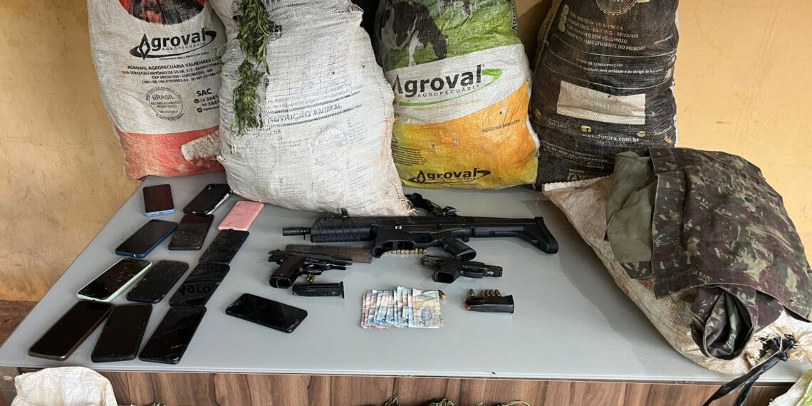 Maior apreensão de drogas do ano já acumula 3 toneladas de maconha e 200 mil pés da erva erradicados