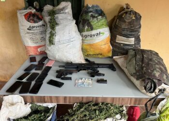 Maior apreensão de drogas do ano já acumula 3 toneladas de maconha e 200 mil pés da erva erradicados