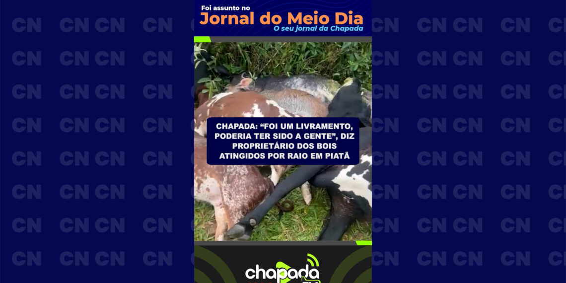 Chapada: “Foi um livramento, poderia ter sido a gente”, diz proprietário dos bois atingidos por raio em Piatã