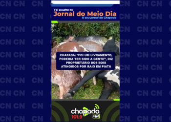 Chapada: “Foi um livramento, poderia ter sido a gente”, diz proprietário dos bois atingidos por raio em Piatã