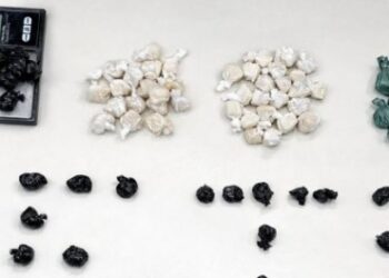 Polícia apreende 95 ‘trouxinhas’ de cocaína durante ação em Seabra