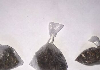 Polícia apreende droga durante rondas especializadas em Iraquara