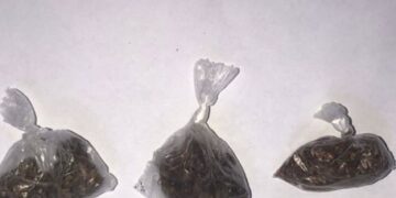 Polícia apreende droga durante rondas especializadas em Iraquara