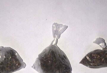 Polícia apreende droga durante rondas especializadas em Iraquara