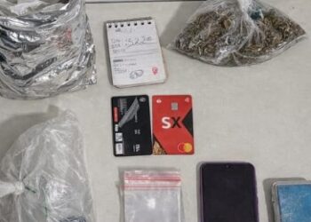 Ação conjunta apreende diversas drogas em Seabra