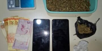 Seabra: polícia apreende drogas e flagra crime ambiental na Vila Nova