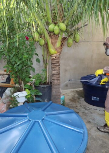 Dengue e arboviroses: nova portaria autoriza acesso a imóveis que ofereçam risco à saúde pública