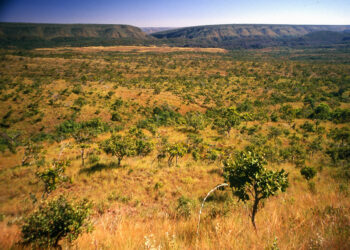 Outono traz mudanças climáticas e ambientais na Bahia