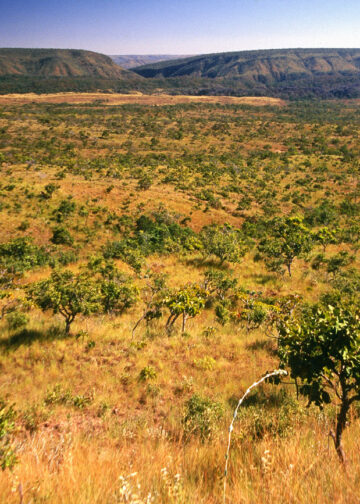 Outono traz mudanças climáticas e ambientais na Bahia
