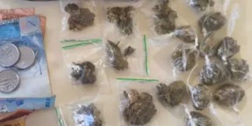 Polícia apreende drogas e pés de maconha durante patrulhamento em Morro do Chapéu