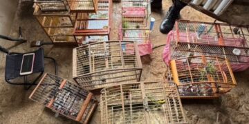 CIPPA realiza operações ambientais em Nova Redenção e Ibicoara