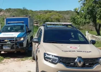 Corpo é encontrado nos fundos de residência em Morro do Chapéu