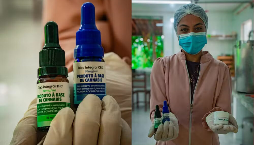 JMD: Justiça autoriza cultivo de Cannabis Medicinal na Chapada Diamantina