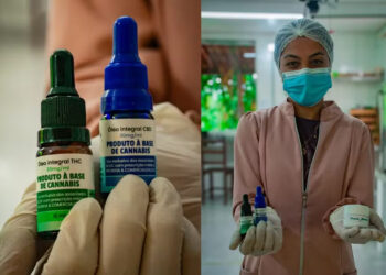 JMD: Justiça autoriza cultivo de Cannabis Medicinal na Chapada Diamantina