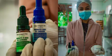 Chapada: justiça autoriza cultivo de Cannabis Medicinal