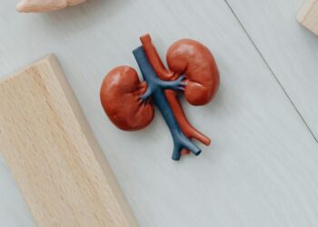 Dia Mundial do Rim: doenças renais são silenciosas e exigem atenção