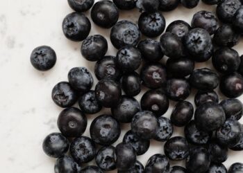 Chapada Diamantina encerra circuito sobre cultivo de mirtilo e frutas vermelhas em Boninal