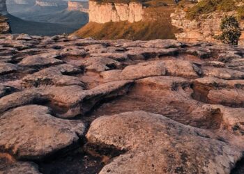 Palmeiras reajusta taxas de visitação em unidades de conservação