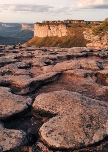 Palmeiras reajusta taxas de visitação em unidades de conservação