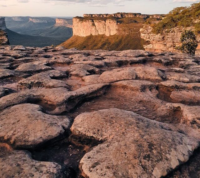 Palmeiras reajusta taxas de visitação em unidades de conservação