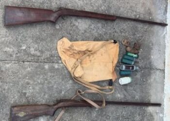 Seabra: pássaros silvestres e armas artesanais são apreendidos na zona rural