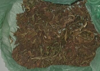 Droga e motocicleta adulterada são apreendidas em Souto Soares