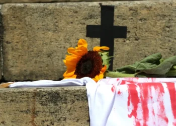 Número de vítimas de feminicídio supera em 38% registros oficiais