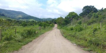 Pavimentação em Boninal tem licitação para 13,8 km entre sede e povoados publicada