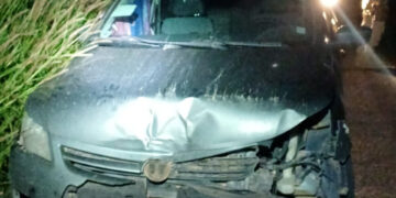 Adolescente aprende a dirigir com tutorial da internet, furta carro dos pais e viaja para encontrar garota que conheceu no Roblox