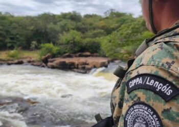 CIPPA Lençóis intensifica fiscalização e promove soltura de aves silvestres durante feriadão