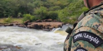 CIPPA Lençóis intensifica fiscalização e promove soltura de aves silvestres durante feriadão