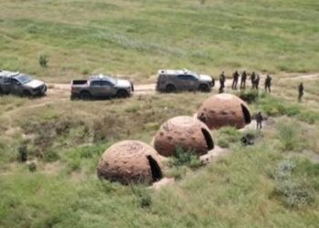 CIPPA Lençóis faz maior apreensão de carvão ilegal na Bahia